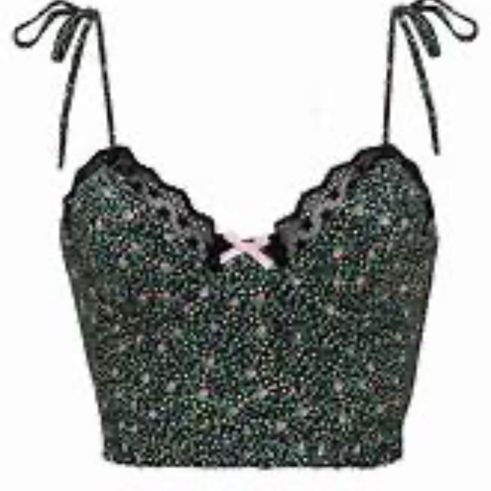 NWOT FOR LOVE & LEMONS FARRAH STRAWBERRY PRINT BUSTIER XS!